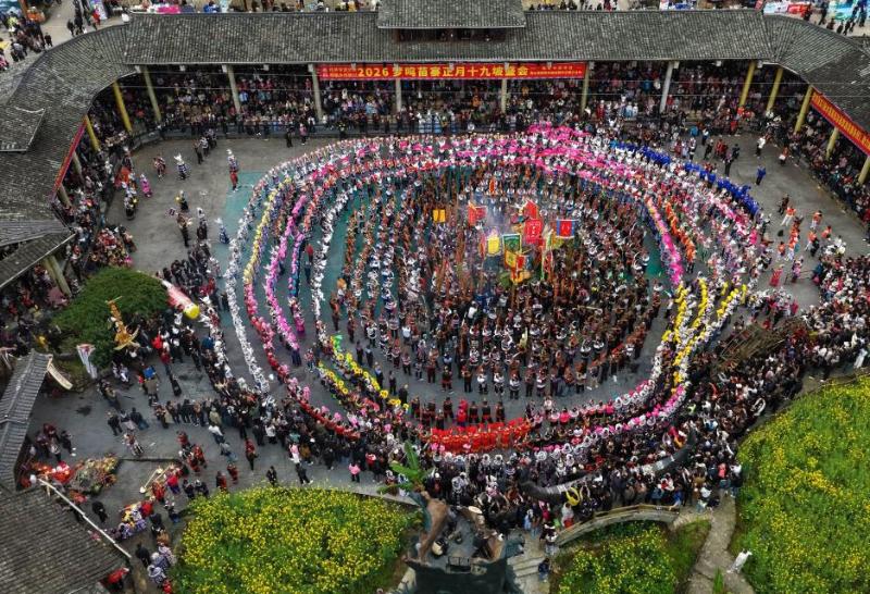 03164_$1773652577303009436.jpg 03164.jpg