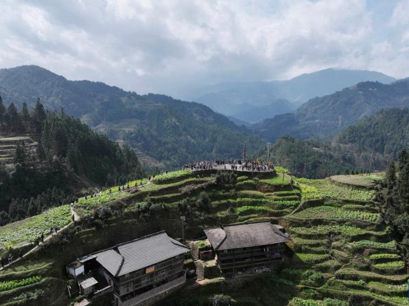 03166_$1773652599702066098.jpg 03166.jpg