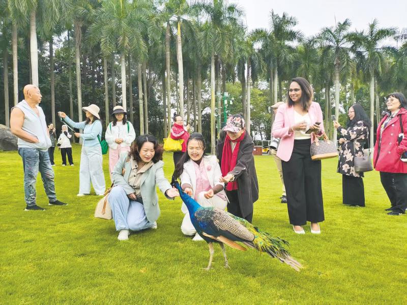 c4ca4238a0b923820dcc509a6f75849b_img_511_1074_505_379_副本_$1761639720963064543.jpg c4ca4238a0b923820dcc509a6f75849b_img_511_1074_505_379_副本.jpg