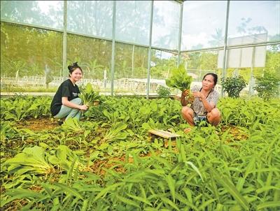 bed58b4c-d118-4800-b5fb-f6b80fd17c18_$1762157897242059380.jpg bed58b4c-d118-4800-b5fb-f6b80fd17c18.jpg