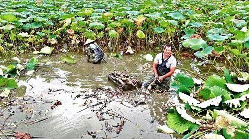 640_$1766026247135078055.jpg 640.jpg