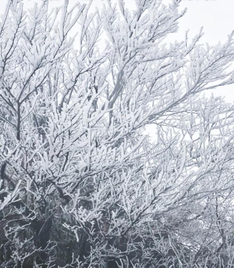 640_$1769072239242099701.jpg 640.jpg