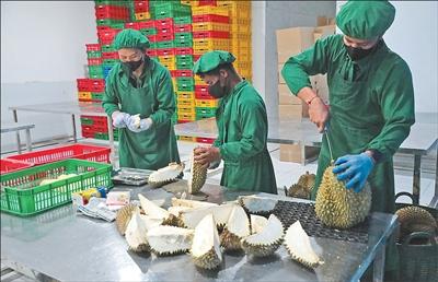 9f1137a2-be23-4526-b2df-2d7081daf96e_$1775793417637088160.jpg 9f1137a2-be23-4526-b2df-2d7081daf96e.jpg