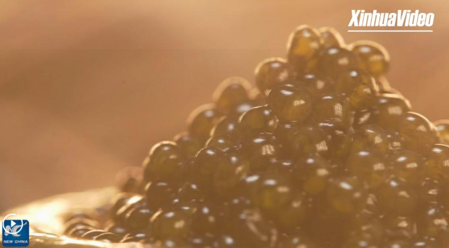 image_$1765786084194066547.png image.png